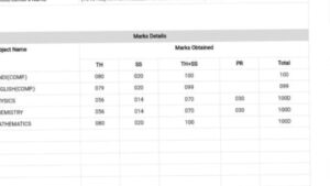 RBSE 12th Result Topper: बाड़मेर की तरुणा चौधरी को 99.80 फीसदी मार्क्स, मार्कशीट देख चौंक जाएंगे आप
